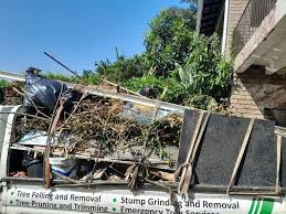 Best Estate Cleanout  in , CO